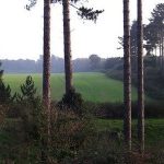 Imagem relacionada a Local de pouso de OVNIs teria feito cães ficarem doentes