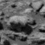 Imagem relacionada a Urso solitário avistado andando na superfície de Marte