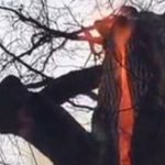 Imagem relacionada a Caminhantes surtam ao encontrar "árvore diabo" em chamas