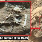 Imagem relacionada a Esqueleto de extraterrestre pode ter sido encontrado em Marte