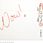 Imagem relacionada a Sinal Wow! teria sido finalmente explicado?