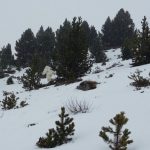 Imagem relacionada a Abominável Homem das Neves filmado próximo a uma estação de esqui