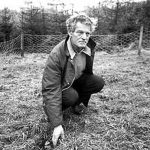 Imagem relacionada a Caso Robert Taylor, o contato imediato mais famoso da Escócia