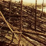 Imagem relacionada a Mistério ainda rodeia o Incidente de Tunguska em 1908