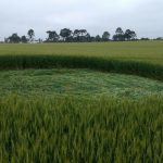 Imagem relacionada a Círculos nas plantações são modelos para geração de energia gratuita?