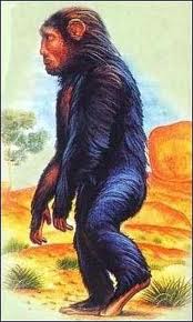yowie