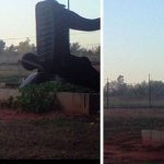 Imagem relacionada a Objeto misterioso aparece em câmera acionada por movimento