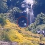 Imagem relacionada a Pé Grande filmado em selva remota da Indonésia