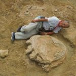 Imagem relacionada a Pegada gigantesca de dinossauro encontrada na Mongólia