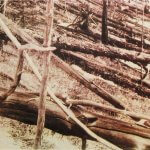 Imagem relacionada a Cientistas tentam explicar o Evento de Tunguska