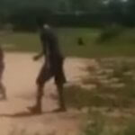 Imagem relacionada a Crianças assustadas com 'goblin' na Argentina