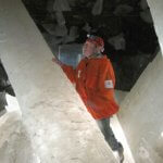 Imagem relacionada a Cientistas revivem formas de vida de 10.000 anos