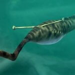 Imagem relacionada a Mistério do 'Monstro Tully' continua sem explicações