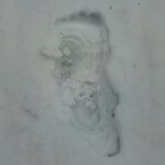 Imagem relacionada a Pegadas de Pé Grande foram encontradas na Dakota do Norte, EUA