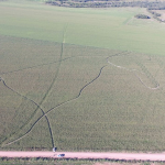 Imagem relacionada a Agrônomo desaparece após deixar marcas em lavoura no MT