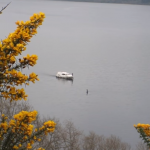 Imagem relacionada a Misterioso objeto aparece no Lago Ness