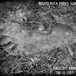 Imagem relacionada a Pegadas de Pé Grande fotografadas em parques do Texas