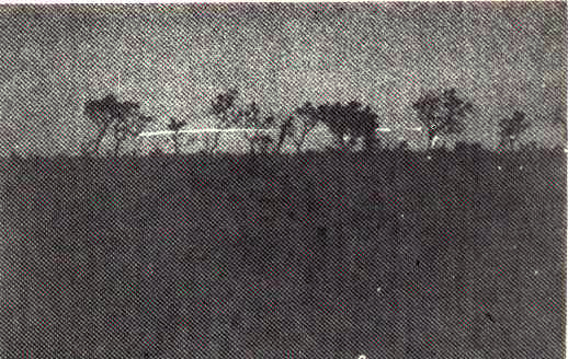 Imagem relacionada a Caso Alexânia: contato com extraterrestres no Brasil