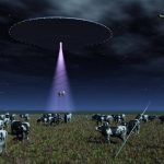 Imagem relacionada a Caso Lady Snippy, mutilada por alienígenas?