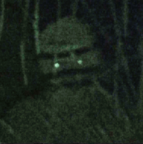 Imagem relacionada a Urandir, Projeto Portal, ET Bilu e a abdução em 2002