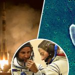 Imagem relacionada a Foram encontradas bactérias alienígenas na Estação Espacial?