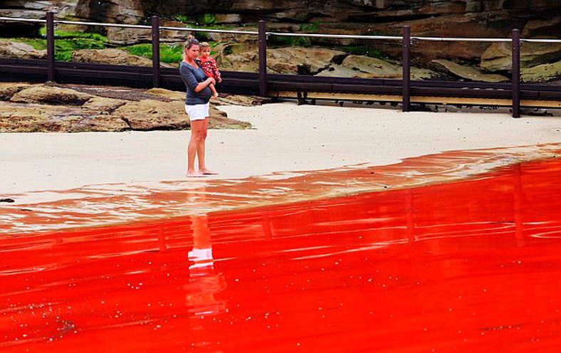 Imagem relacionada a 17 fenômenos curiosos que ocorrem em nosso planeta