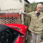 Imagem relacionada a Homem encontra criatura marinha misteriosa em sua calçada