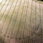 Imagem relacionada a Stonehenge oculto descoberto na Irlanda