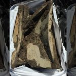 Imagem relacionada a Mistério envolve cápsula do tempo danificada de 1881