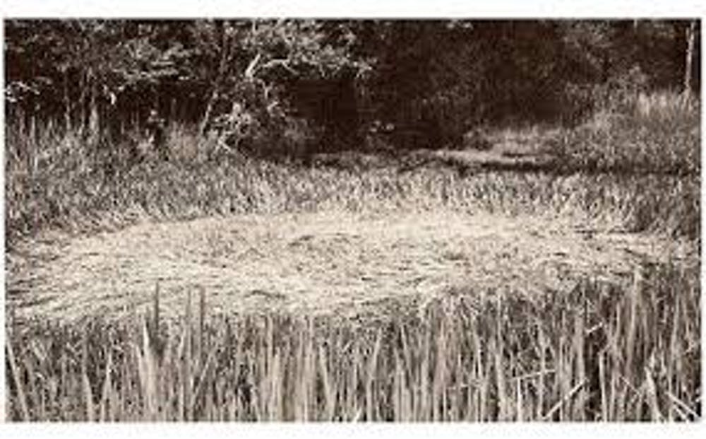 Imagem relacionada a Áudio raro lança luz sobre o caso OVNI de Westall