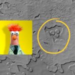 Imagem relacionada a Jairo, de Os Muppets, foi visto em Marte