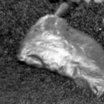 Imagem relacionada a Rover Curiosity descobre objeto brilhante em Marte