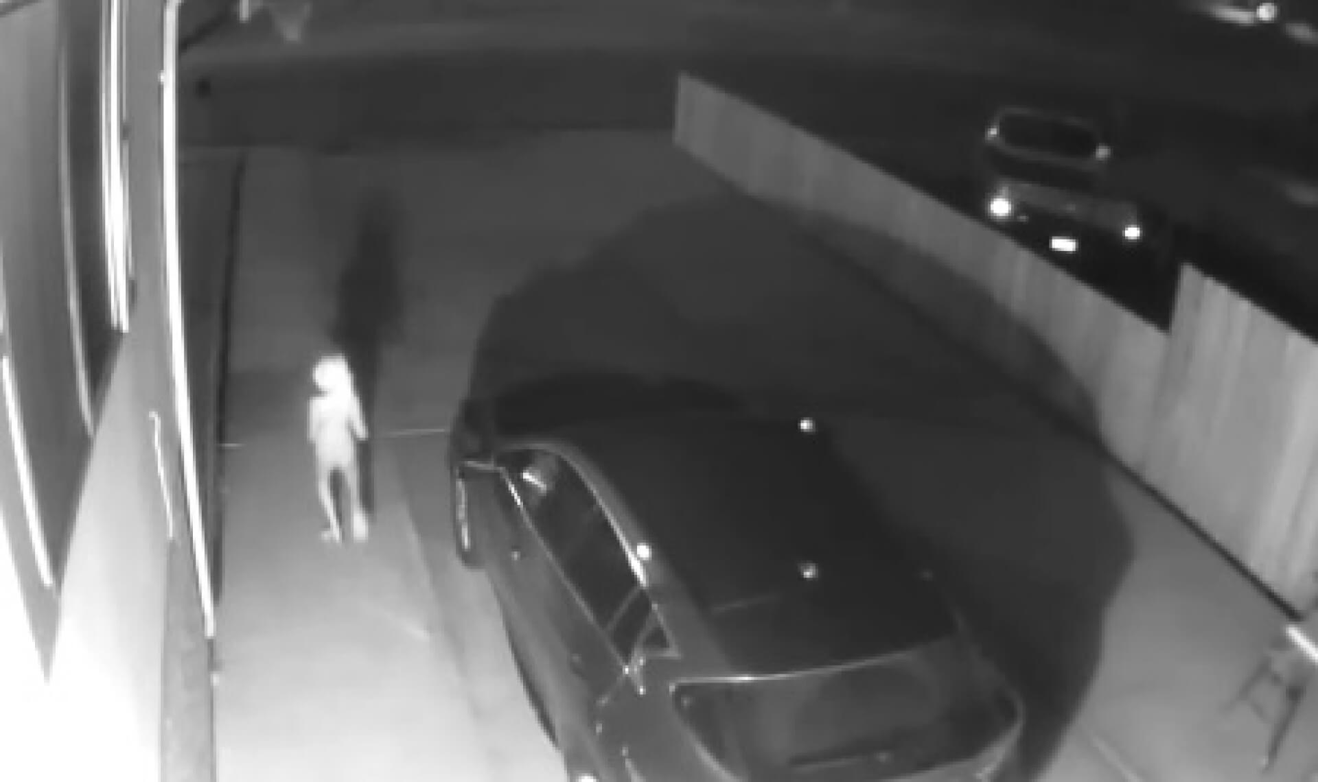 Imagem relacionada a Criatura estranha capturada em vídeo nos EUA