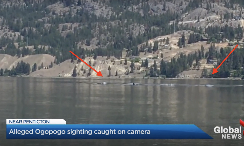Imagem relacionada a Homem registra imagens de monstro no lago 'Ogopogo'