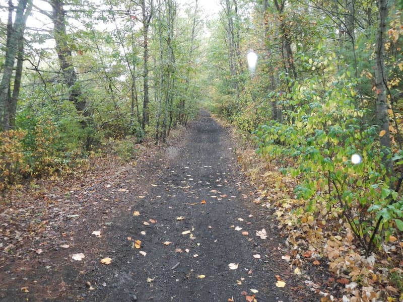 Imagem relacionada a Triângulo de Bridgewater será transformado em programa de TV