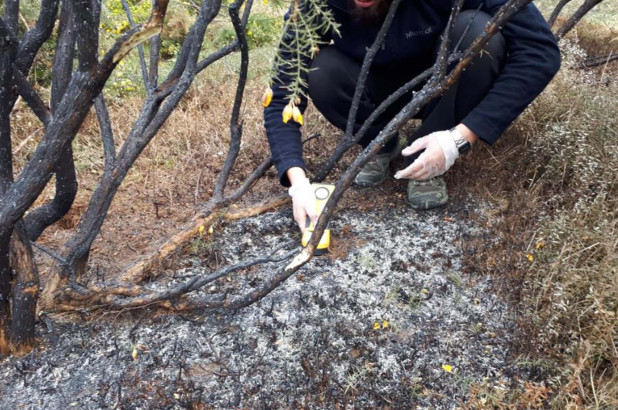 Imagem relacionada a Bola de fogo misterioso no Chile 'não foi um meteorito'