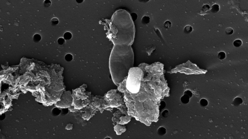 Imagem relacionada a Cápsula do tempo de 2 bilhões de anos pode conter vida