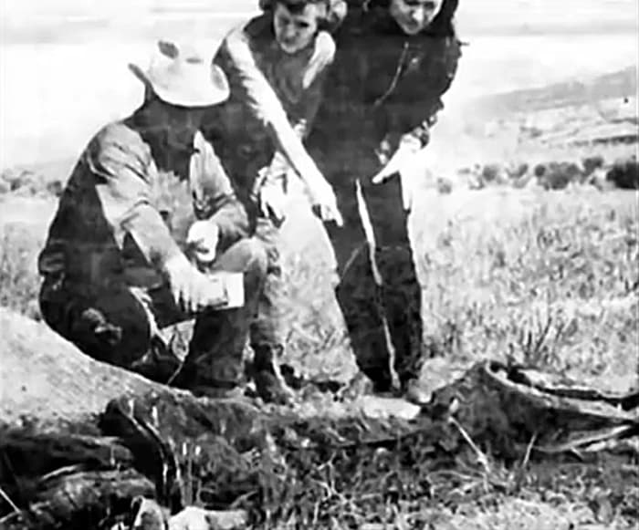 Imagem relacionada a Após 50 anos, Caso Lady Snippy ainda é um mistério