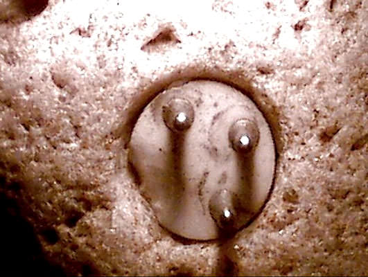 Imagem relacionada a A enigmática pedra de Williams com pinos de tomada