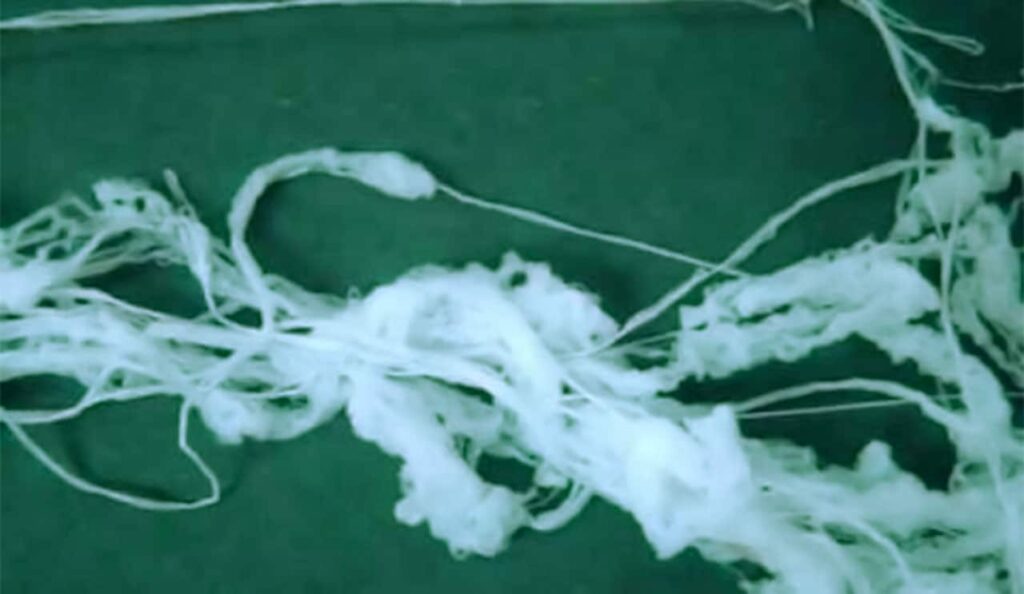 Imagem relacionada a 4 fenômenos misteriosos que a ciência não pode explicar