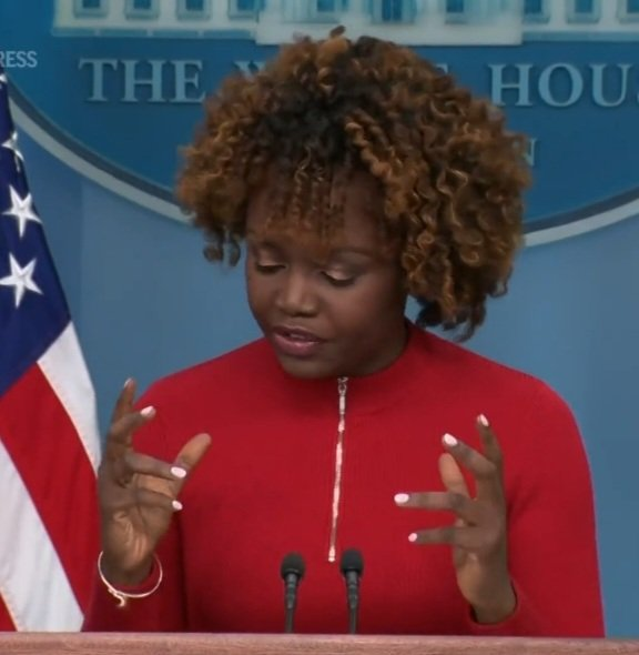 Imagem relacionada a Secretária de imprensa da Casa Branca faz gesto de Tsoukalos ao falar de alienígenas