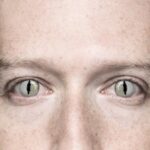 Imagem relacionada a Humanos venenosos podem evoluir devido a ancestral comum com répteis