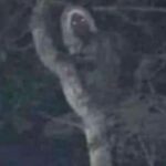 Imagem relacionada a Presidente do México posta uma foto bizarra de criatura mitológica semelhante a um elfo