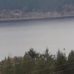 Imagem relacionada a Criatura estranha é avistada no Lago Ness por turista galês