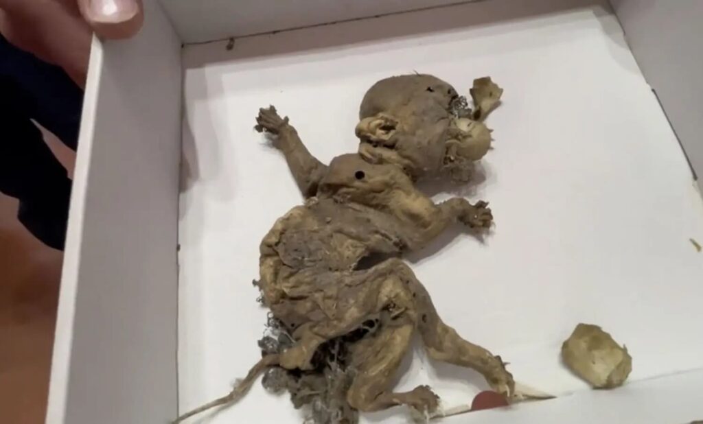 Imagem relacionada a Criatura 'goblin' encontrada em construção no México