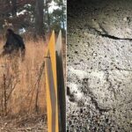 Imagem relacionada a Pesquisador lidera expedição para encontrar Orang Pendek na Tailândia