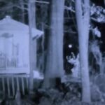 Imagem relacionada a Encontros com OVNIs: Homem afirma que suas experiências foram investigadas pela NASA e CIA