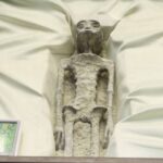 Imagem relacionada a Descoberta chocante de 'entidades não humanas' de 1.000 anos deixa ufólogos intrigados