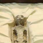 Imagem relacionada a Revelação de 'Cadáveres Alienígenas' foi feito sob juramento no congresso do México