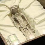 Imagem relacionada a Céticos condenam supostos corpos alienígenas apresentados por Jaime Maussan